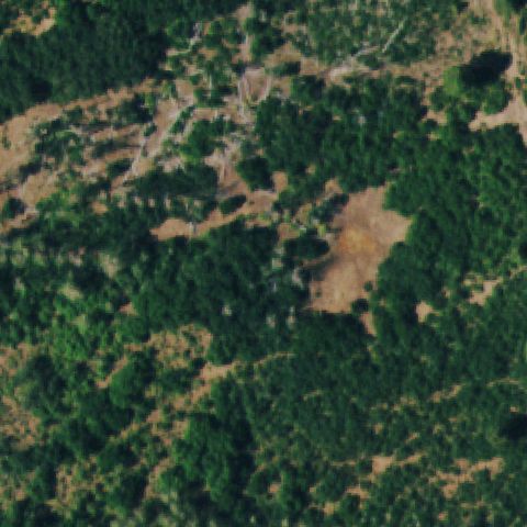 Aerial tile for CD44